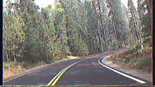 Driving Through Forrest VHS Footage Retro 90’s Tapes [upl. by Allicsirp]