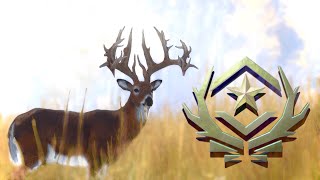 DROPPING A STUNNING GREAT ONE WHITETAIL BUCK WITH THE NEW TAKEDOWN RECURVE [upl. by Bandler926]