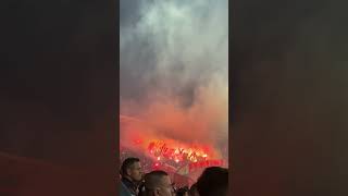 Red Star Belgrade Fans in Action Serbia delije football [upl. by Ayalahs533]