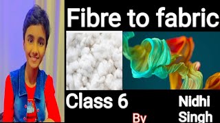 Fibre to fabric class 6  fibre kya hota hai fibre se dhaga kaise banta hai [upl. by Anaj]