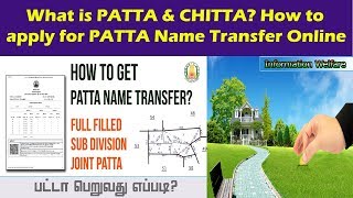 How To Apply Patta Transfer Online  Detailed Procedure What is Patta amp Chittaபட்டா  சிட்டா [upl. by Gabriella]