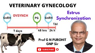 Unlocking the Secrets of Animal Breeding The Technology Behind Estrus Synchronization [upl. by Chelsey]