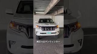 Bordan ウインカー✨✨✨カー用品 foryou ベストカー 車好き [upl. by Meensat]