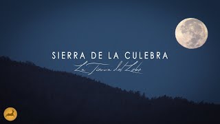 𝗕𝗘𝗥𝗥𝗘𝗔 en la Sierra de la Culebra 𝗭𝗔𝗠𝗢𝗥𝗔  La Tierra del 𝗟𝗢𝗕𝗢 por Cinegetics [upl. by Nilreb]