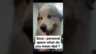 Zeus up close and personal please like and subscribe [upl. by Orin]