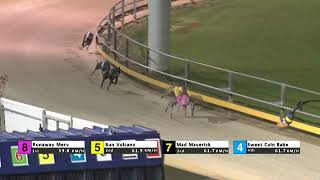 Gawler27102024Race11 [upl. by Esilegna]