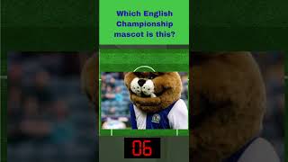 English Championship  What is the name of this club mascot championship football england [upl. by Enelegna680]