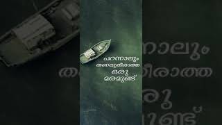 QALB MOVIE  MALAYALAM LYRICAL video song  PADACHAVAN NINNE PADACHAPPOL  TRIPLES SUFISM TOUCH [upl. by Camden]