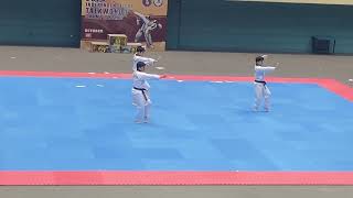 Kukkiwon Taekwondo Demonstration Performance 3 [upl. by Inaffit760]