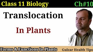 Translocation in plants  forms and function in plants  class 11th Biology [upl. by Rosalinde144]