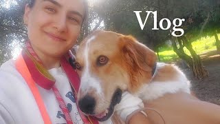 Vlog 62 Lala ve Kiko  Haftaya düzenli başlamak  2 bebe ile bir gün [upl. by Roane515]