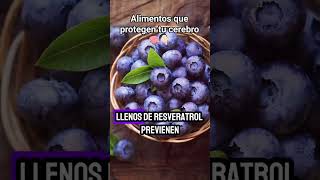 10 Alimentos para prevenir el mal de parkinson [upl. by Durston934]