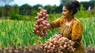 Farm fresh Onionssmelly big red onion harvesting and Make The Best Crispy And Savory Onion Recipes [upl. by Estrella61]