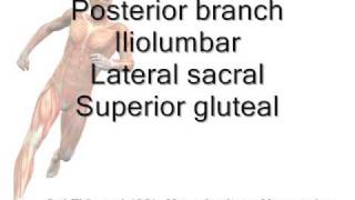 Internal Iliac artery Posterior Branch Mnemonic [upl. by Atinehc]