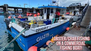 UK Commercial Fishing  Lobster And Crab Potting  Huge Lobsters Big Crabs  Sea Fishing Video [upl. by Schreibe]