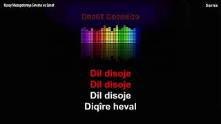 Mem Ararat  Dil Disoje Kurdî Karaoke [upl. by Ijat383]