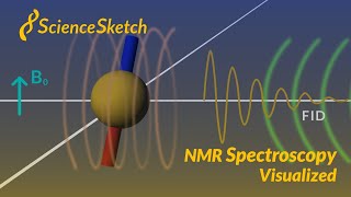 NMR spectroscopy visualized [upl. by Coates729]