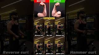 Highly effective workout for your biceps Reverse 💪 gym [upl. by Ytsirk778]