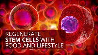 Regenerate Stem Cells with Food and Lifestyle [upl. by Aicia]