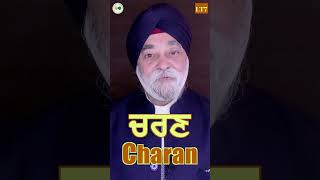 Charan ਚਰਣ Vol 7 । A Short video by Veer Bhupinder Singh ji [upl. by Ewall590]