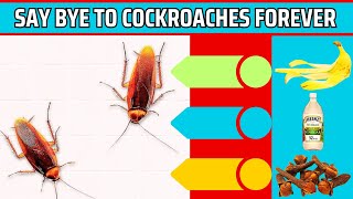 Natural Ways to Get Rid of Cockroaches Permanently Quick Methods [upl. by Enneicul]