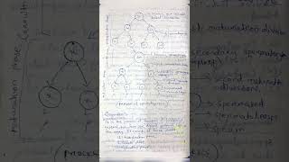 Gametogenesis spermatogenesis oogenesis biology zoology notes [upl. by Hsekar]