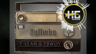 Tbwoy amp T sean Kalimbaofficial audio [upl. by Nnawaj]