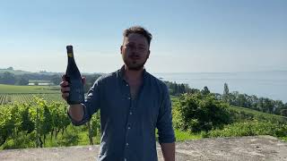 2018 Trielberg Spätburgunder Weingut Aufricht Bodensee Baden [upl. by Christina]