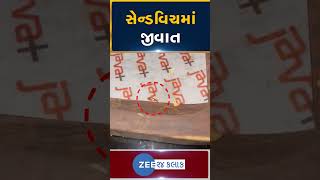 Video  ફરી એકવાર સેન્ડવિચમાંથી જીવાત નીકળી અમદાવાદની ફેમસ કૉર્ટયાર્ડ મેરિયટ હોટલની ઘટના [upl. by Nido]