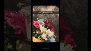 Urge to get flowers from you maine pucha chand se oldisgold songs youtubeshortsindia ytshorts [upl. by Jehiah]