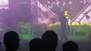 THE WORLD OF DRUM AND BASS 2011 ARENA MOSCOW [upl. by Halbert]