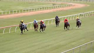 Mareeba 11052024 Race 1 [upl. by Shuma]