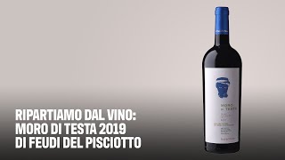 Ripartiamo dal vino Moro di Testa 2019 di Feudi del Pisciotto [upl. by Naxela687]