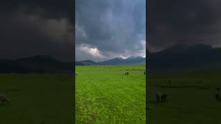 Tosa Maidan  Jammu and Kashmir [upl. by Avid438]