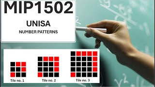 MIP1502 UNISA Assignment 4 discussion 2024  Number Patterns  Functions  Andile and Beki Gym fees [upl. by Ycniuqal899]