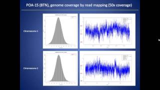 Optimization of NGS Library Preparation Low Inputs and Fast Streamlined Workflows [upl. by Boatwright]