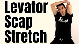 Levator Scapulae Stretch for Neck Pain Relief  San Diego Chiropractic [upl. by Nitsid564]