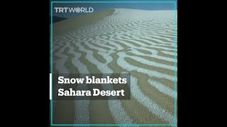 Algeria’s Sahara Desert covered in snow [upl. by Atnauq]