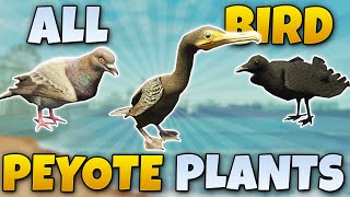 ALL BIRD PEYOTE PLANT LOCATIONS GTA 5 STORY MODE [upl. by Issak816]