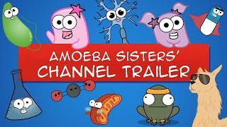 The Amoeba Sisters YouTube Trailer OLD VIDEO [upl. by Enak808]