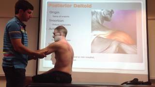 Posterior Deltoid Palpation Manual Therapy and Stretch [upl. by Kiehl]