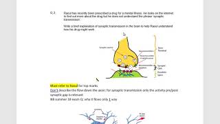 A Level AQA Biopsychology 3 synaptic transmission [upl. by Mullac746]