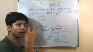 RNA sequencing [upl. by Barthelemy477]