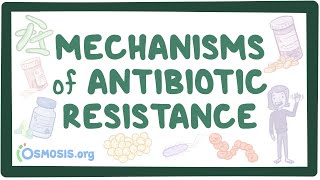 Mechanisms of antibiotic resistance [upl. by Albrecht]