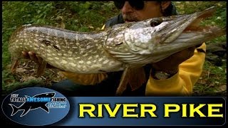 River Pike fishing frenzy  Ep5  Series 3  Totally Awesome Fishing [upl. by Shanon]