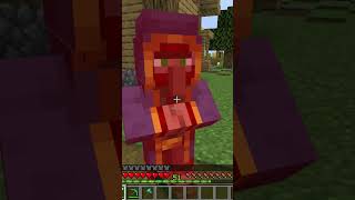 I Hate Wandering Traders minecraftshorts minecraft minecraftcommands [upl. by Lawford]