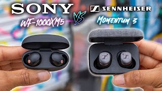 Sony WF1000XM5 VS Sennheiser Momentum TWS 3  The KING Dethroned [upl. by Netsirhc]