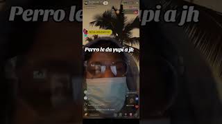 PERRO DETONANDO A JH 🐕‍🦺👏🔥🗣️‼️ jhdelacruz777 jhdelacruz jh perros live humor [upl. by Paton]