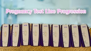 PREGNANCY TEST LINE PROGRESSION  IVF [upl. by Annoet]