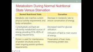 MNT CI1 Adaptations to Starvation [upl. by Oiralih10]